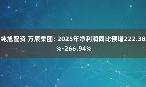 纯旭配资 万辰集团: 2025年净利润同比预增222.38 %-266.94%