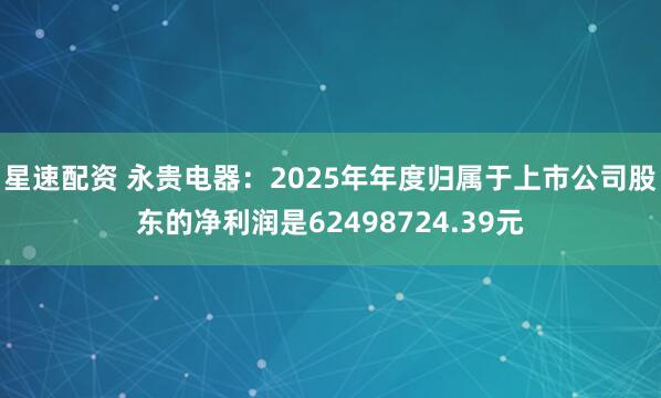 星速配资 永贵电器：2025年年度归属于上市公司股东的净利润是62498724.39元