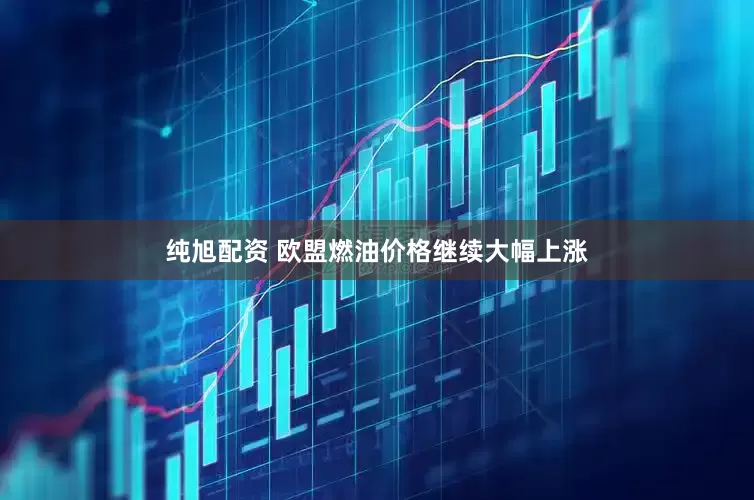 纯旭配资 欧盟燃油价格继续大幅上涨